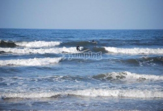  Surfing 